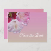 ピンクかわいらしのシャクナゲの花は日付を保存する 案内ポストカード (正面/裏面)