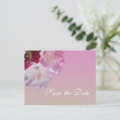 ピンクかわいらしのシャクナゲの花は日付を保存する 案内ポストカード (スタンド正面)