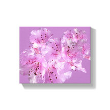 ピンクかわいらしのシャクナゲの花フローラ美しい