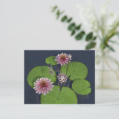 ピンクかわいらしのスイレンとトンボ ポストカード (スタンド正面)