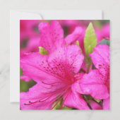 ピンクかわいらしのツツジの花結婚式招待状 招待状 (裏面)