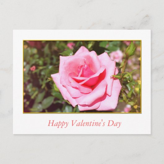 ピンクかわいらしのバラの花と甘いハートバレンタイン シーズンポストカード (正面)