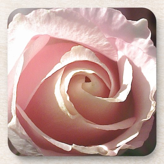 ピンクかわいらしのバラ コースター (正面)