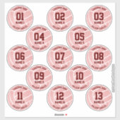 ピンクかわいらしのバレーボールのスポーツをテーマにしたお祝い シール (シート)