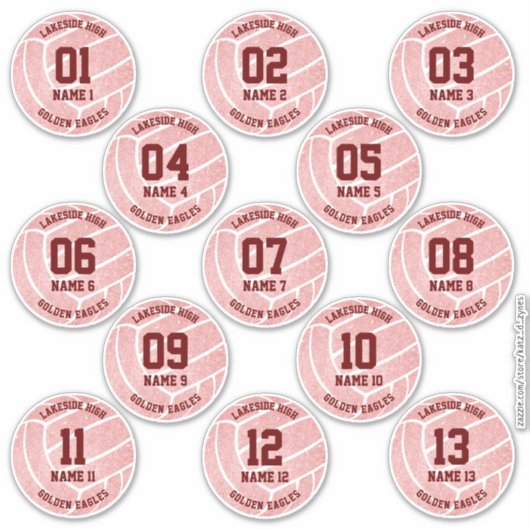 ピンクかわいらしのバレーボールのスポーツをテーマにしたお祝い シール (正面)