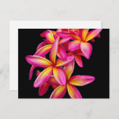 ピンクかわいらしのプルメリアフローラ写真 ポストカード (正面/裏面)