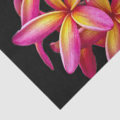 ピンクかわいらしのプルメリアフローラ写真 薄葉紙 (詳細)