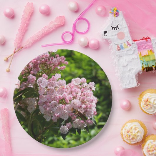 ピンクかわいらしのマウンテンローレル花 ペーパープレート (パーティー)