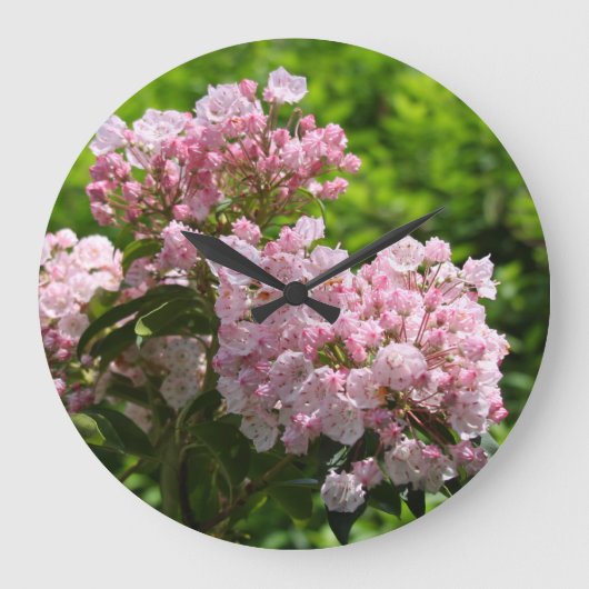 ピンクかわいらしのマウンテンローレル花 ラージ壁時計 (正面)