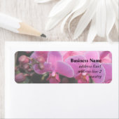 ピンクかわいらしのラン ラベル (インサイチュ)