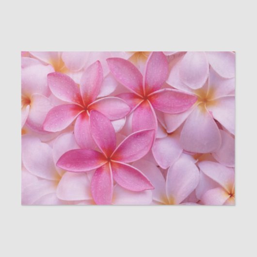 ピンクかわいらしの夏の花 薄葉紙 (正面)