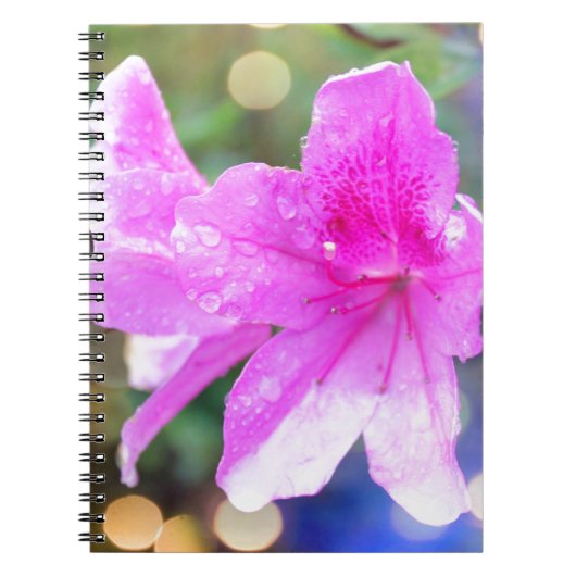 ピンクかわいらしの庭の花フローラ植物写真 ノートブック (正面)