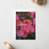 ピンクかわいらしの庭の花 ノートカード (正面/裏面インサイチュ)