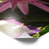 ピンクかわいらしの復活祭サボテンの花 フォトプリント            (角)