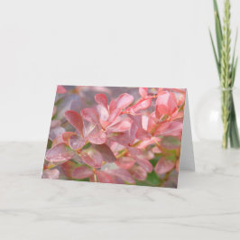 ピンクかわいらしの枝 カード