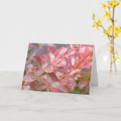 ピンクかわいらしの枝 カード (黄色い花)