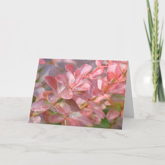 ピンクかわいらしの枝 カード (正面)