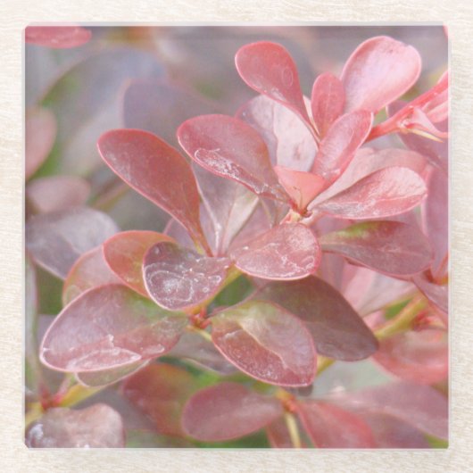 ピンクかわいらしの枝 ガラスコースター (正面)