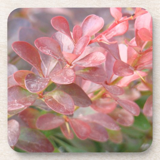 ピンクかわいらしの枝 コースター (正面)