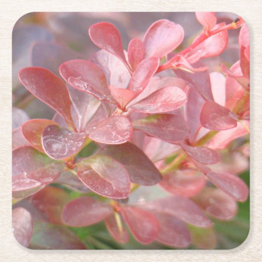 ピンクかわいらしの枝 スクエアペーパーコースター (正面)