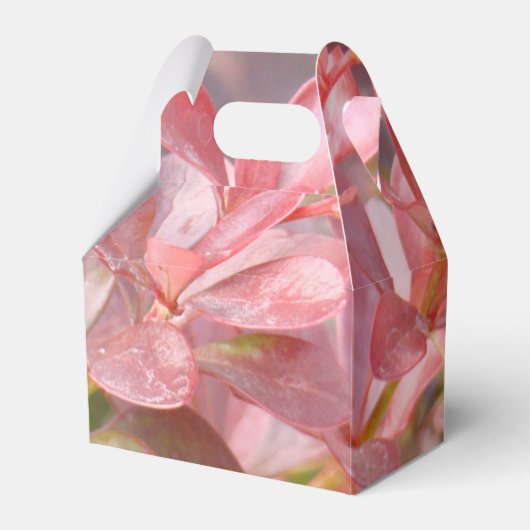 ピンクかわいらしの枝 フェイバーボックス (正面サイド)