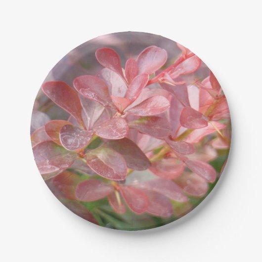 ピンクかわいらしの枝 ペーパープレート (正面)