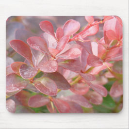 ピンクかわいらしの枝 マウスパッド