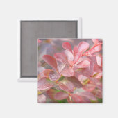 ピンクかわいらしの枝 マグネット (正面/裏面)