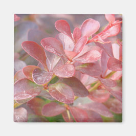 ピンクかわいらしの枝 マグネット