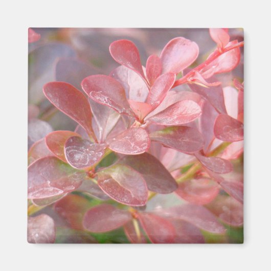 ピンクかわいらしの枝 マグネット (正面)