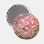ピンクかわいらしの枝 マグネット (正面/裏面)