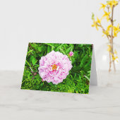 ピンクかわいらしの牡丹カ空白のード カード (黄色い花)
