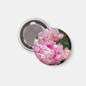 ピンクかわいらしの牡丹フローラ写真 マグネット (正面/裏面)