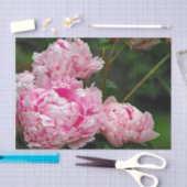 ピンクかわいらしの牡丹フローラ写真 薄葉紙 (クラフト)