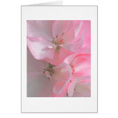 ピンクかわいらしの花の注空白の意 (正面)