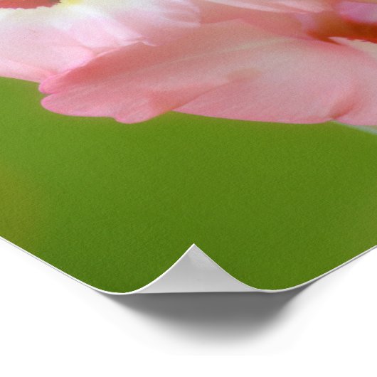 ピンクかわいらしの花バイブル聖句祈りの言葉アートポスター ポスター (角)