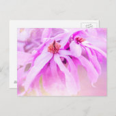 ピンクかわいらしの花 ポストカード (正面/裏面)