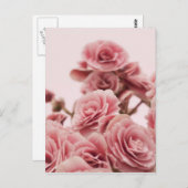 ピンクかわいらしの花 ポストカード (正面/裏面)