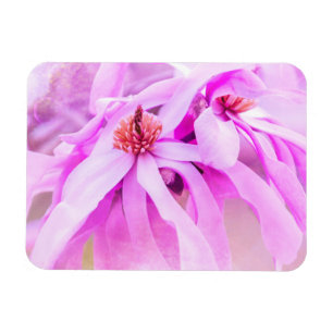 ピンクかわいらしの花 マグネット
