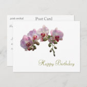 ピンクかわいらしの蘭の花ハッピーバースデー ポストカード (正面/裏面)