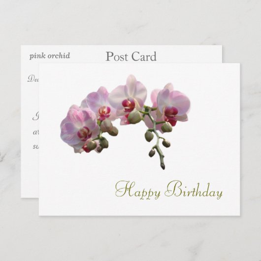 ピンクかわいらしの蘭の花ハッピーバースデー ポストカード (正面/裏面)