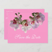 ピンクかわいらしの蘭の花ピンクの日付を保存 案内ポストカード (正面/裏面)