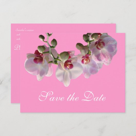 ピンクかわいらしの蘭の花ピンクの日付を保存 案内ポストカード (正面/裏面)