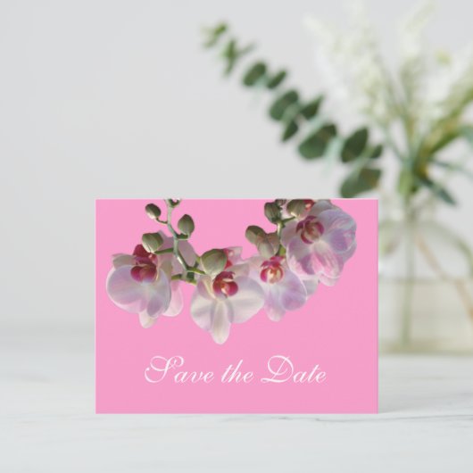 ピンクかわいらしの蘭の花ピンクの日付を保存 案内ポストカード (スタンド正面)
