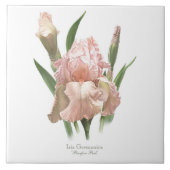 ピンクかわいらしアイリスボタニカルスタイルアート タイル (正面)