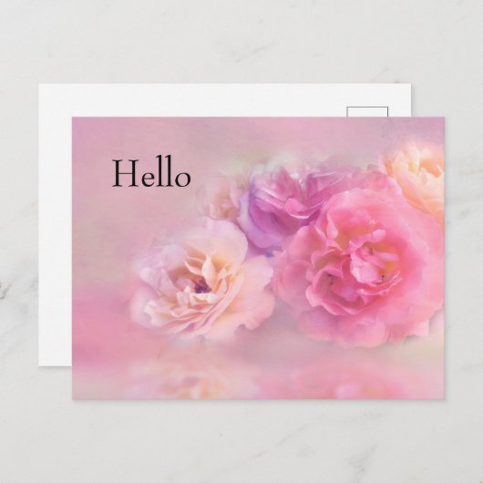 ピンクかわいらしカーネーションスタイリッシュ写真こんにちは ポストカード (正面/裏面)