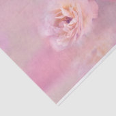 ピンクかわいらしカーネーションスタイリッシュ写真 薄葉紙 (詳細)