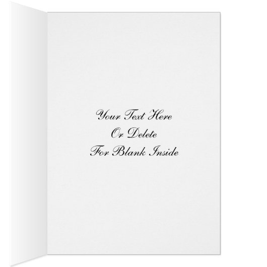 ピンクかわいらしコスモス花デザイン写真 (内側 (右))