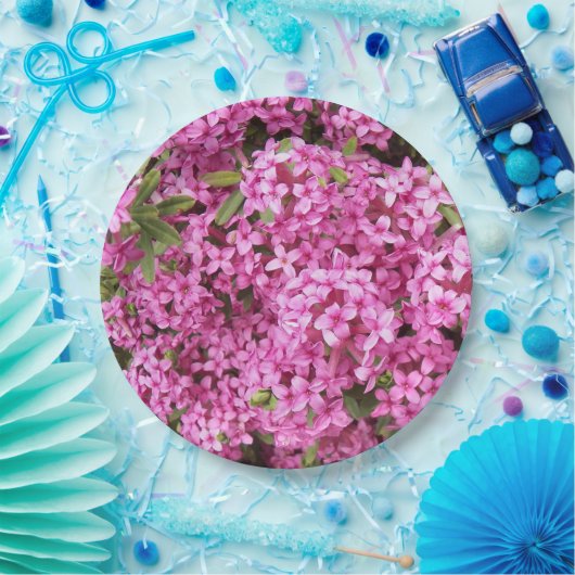 ピンクかわいらしダフネフローラ ペーパープレート (パーティー)