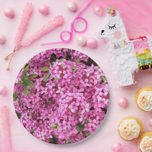 ピンクかわいらしダフネフローラ ペーパープレート (パーティー)